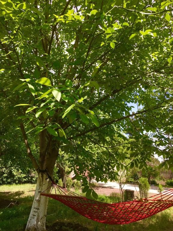 Гостевой дом Eco Holiday House Тбилиси